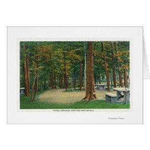 Picnic Grounds View of Saratoga Battlefield