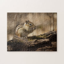 Picnic in the Woods puzzle