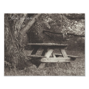 Picnic Photo Print