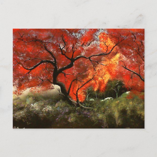 Picnic Tree Postcard (Front)