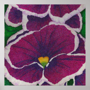 Picottee Pansy Poster