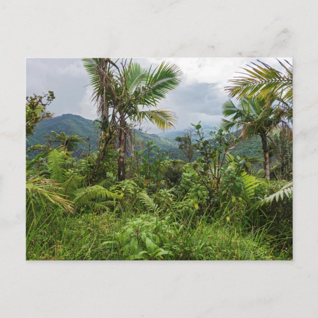 Pics et vallées de la carte postale el yunque (Devant)