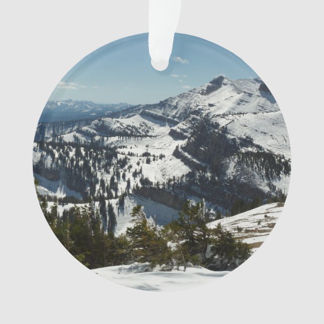 Pics neigeux du Grand Teton (devant)