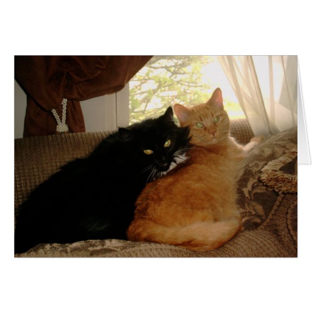 PICT0017 Kitty and Tishabella (Front Horizontal)