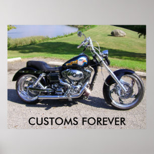 Picture 010, CUSTOMS FOREVER Poster