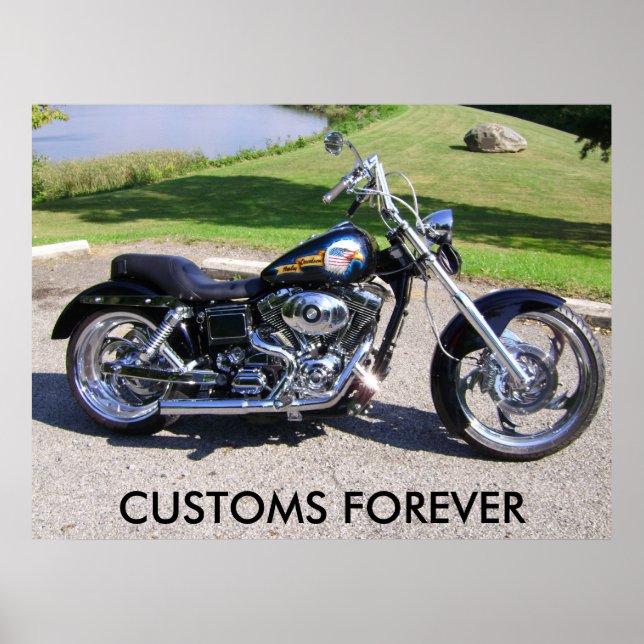 Picture 010, CUSTOMS FOREVER Poster (Front)
