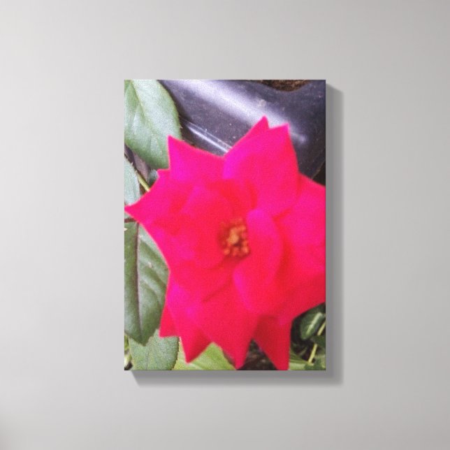 Picture Canvass Art Canvas Print (Front)