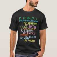 Picture Clause in Cobol Programming 
