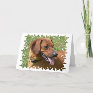 Picture of a Dachshund Dog Greeting Card