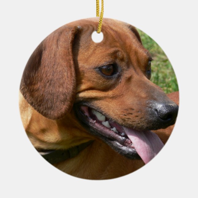 Picture of a Dachshund Ornament (Front)