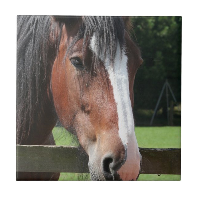 Picture of a Quarter Horse Tile or Trivet (Front)