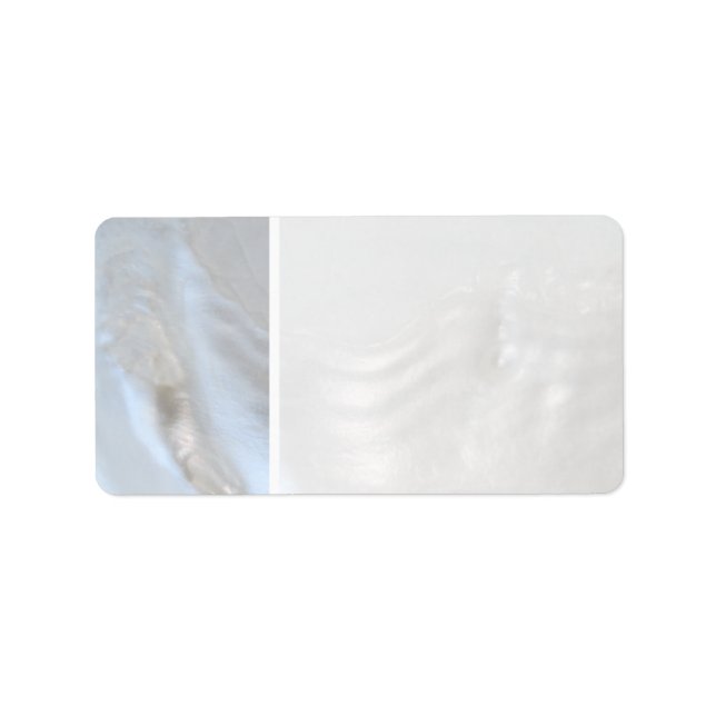 Picture of a Shell. Label (Front)