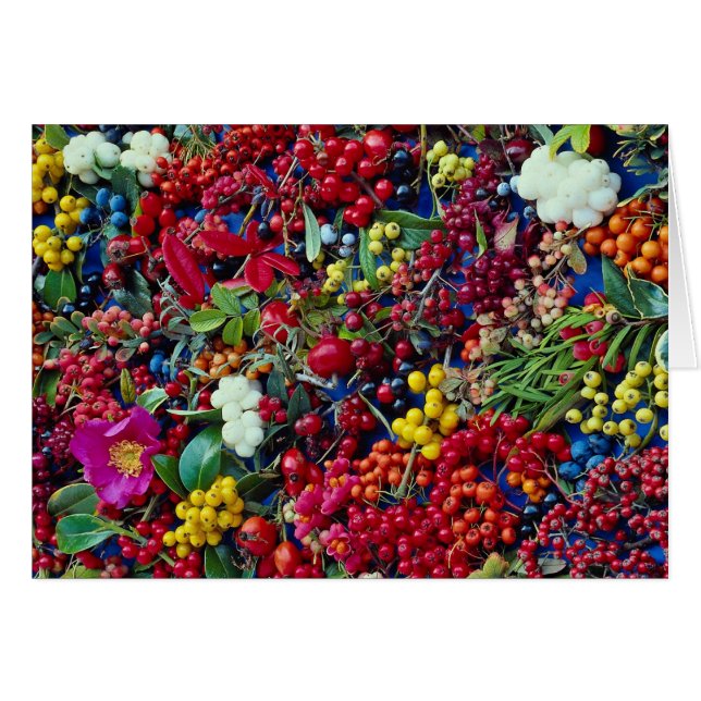 Picture of Autumn berries (Front Horizontal)