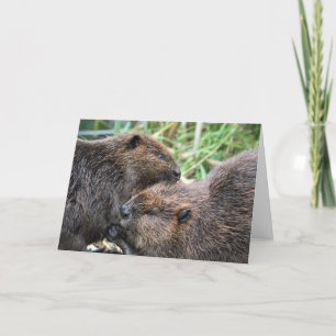 Picture of Beavers Grooming Card