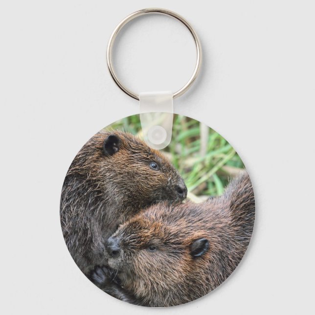Picture of Beavers Grooming Keychain (Front)