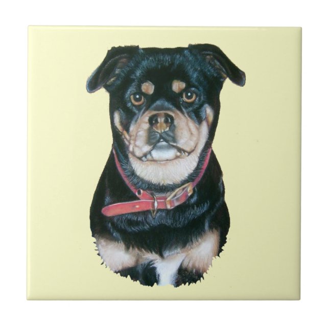 picture of black and tan pug dog portrait tile (Front)