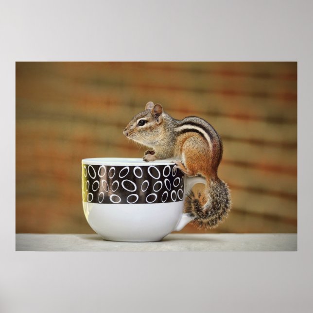 Picture of Chipmunk with Latte Coffee Cup Poster (Front)