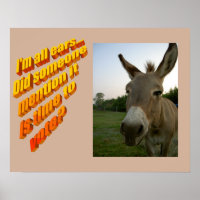 Picture of donkey with ears up