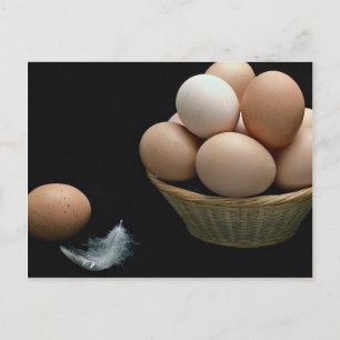 Picture of Eggs arranged in a bowl Postcard