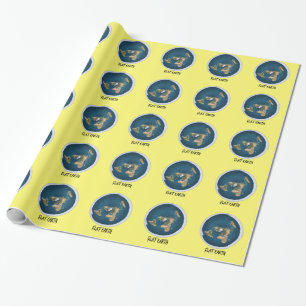 Picture Of Flat Earth Wrapping Paper