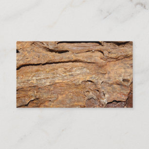 Picture of Fossilized Wood. Business Card