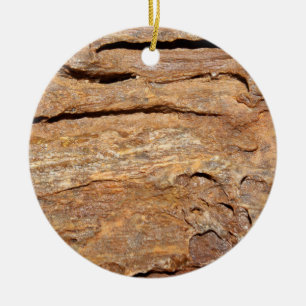 Picture of Fossilized Wood. Ceramic Ornament