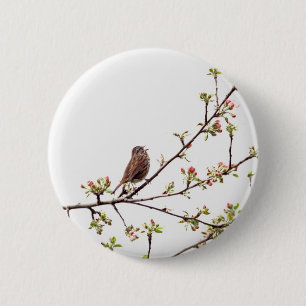 Picture of Sparrow Singing in Flowering Tree 2 Inch Round Button