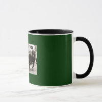 Picture of Wall Street Bull