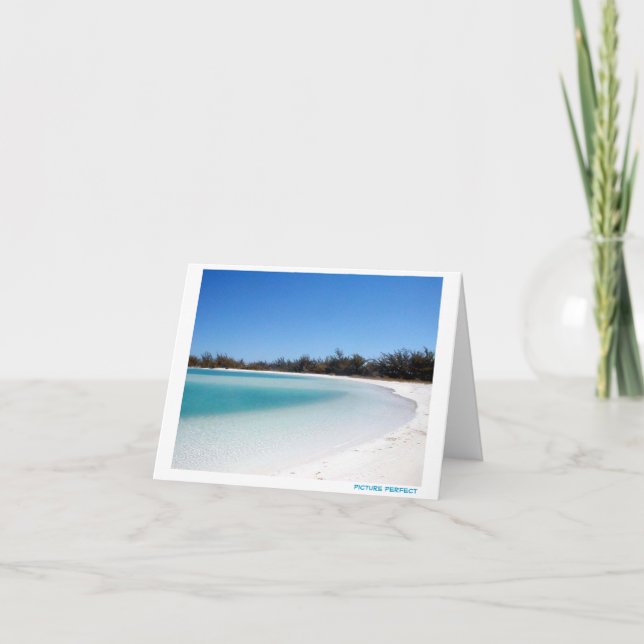 Picture Perfect Card (Front)