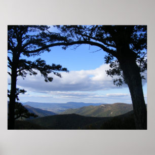 Picture Perfect View Poster