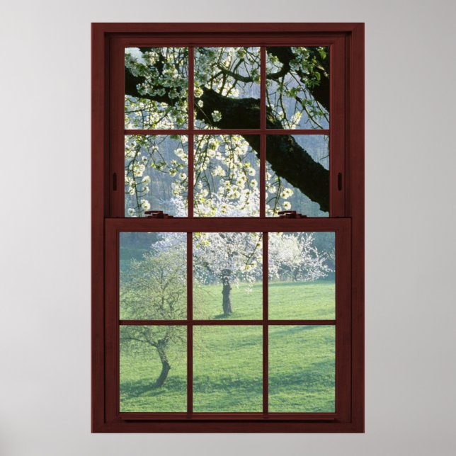 Picture Window Landscape - Cherry Blossoms. Poster (Front)