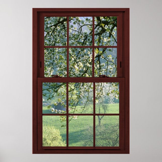 Picture Window Landscape - Cherry Blossoms. Poster (Front)