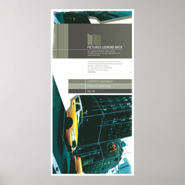 PICTURES LOOKING BACK (Leinwand) Poster (Front)