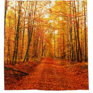 Picturesque Autumn Way Landscape