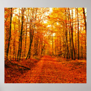 Picturesque Autumn Way Landscape Poster