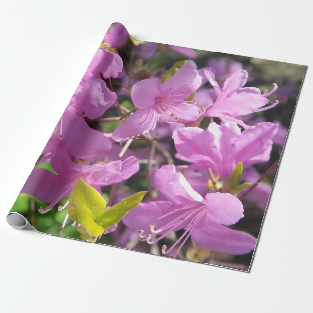 Picturesque Landscape Wrapping Paper (Unrolled)