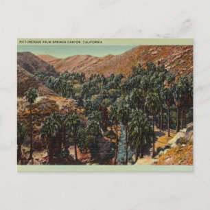 Picturesque Palm Springs Canyon, California Postcard