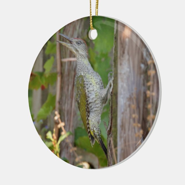 Picus Viridis - Grünspecht Ceramic Ornament (Left)