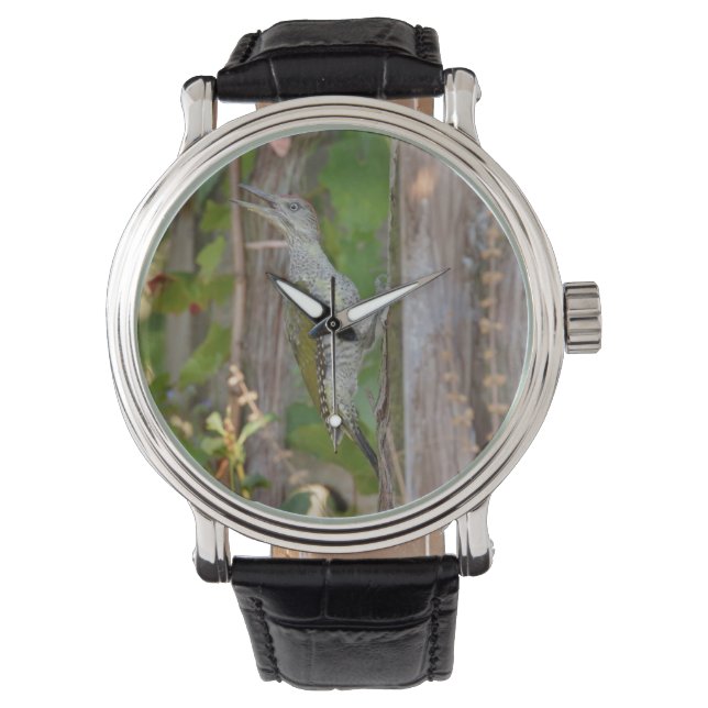 Picus Viridis - Grünspecht Watch (Front)