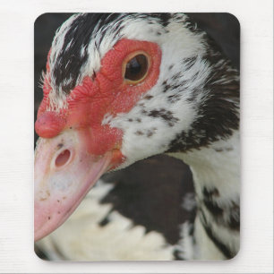 Pie says, "Hi!" Mouse Pad