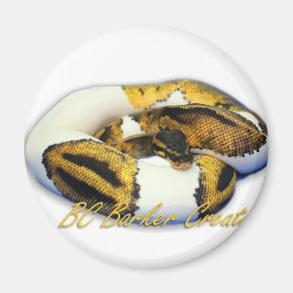 Piebald Ball Python Magnet