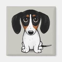 Piebald Dachshund | Cute Puppy Dog Magnet