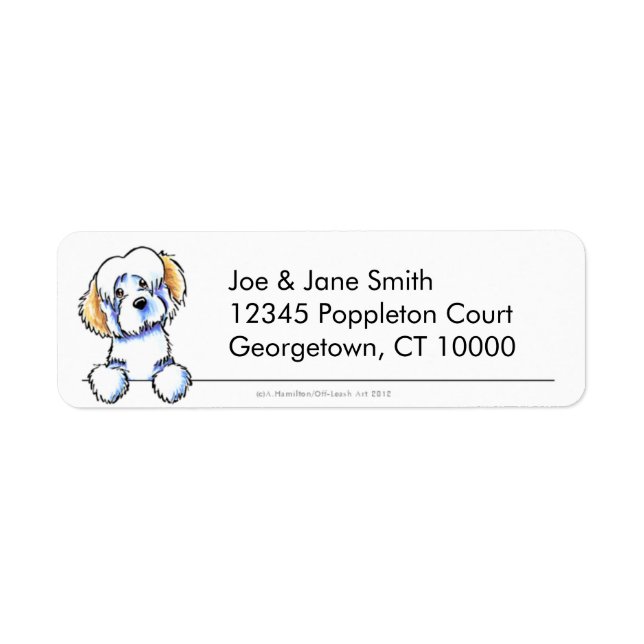 Piebald Havanese Clean & Simple (Front)