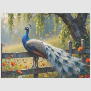 Piebald Peacock on Split rail fence Tissue Paper