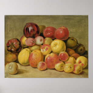 Pieces of Fruit Poster