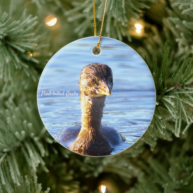 Pied-billed Grebe Bird Ornament (Tree)