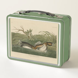 Pied-billed Grebe from Audubon's Birds of America Metal Lunch Box