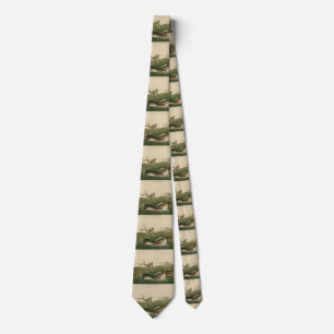 Pied-billed Grebe from Audubon's Birds of America Tie