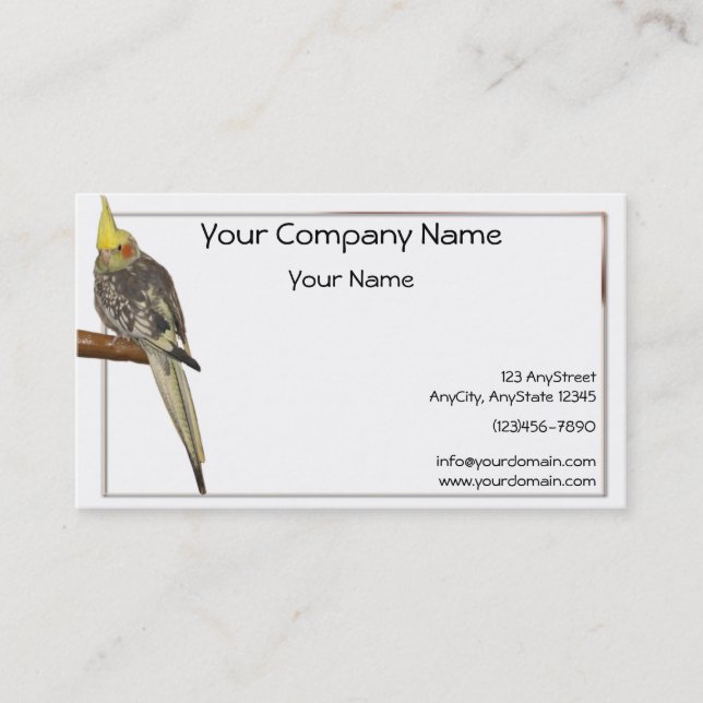 Pied Cockatiel on a Branch with White Background Business Card (Front)
