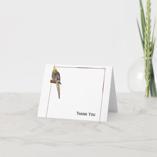Pied Cockatiel on a Branch with White Thank You Card (Front)
